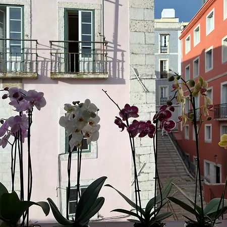 Azzulea Rossio * Lissabon